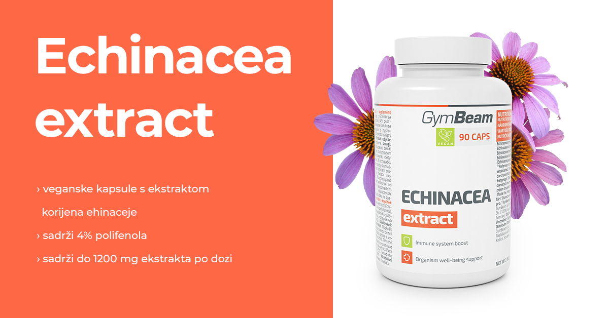 Echinacea - GymBeam